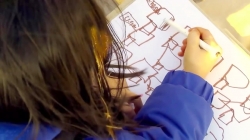 سفر با بچه مسافرتی ها - آمریکای شمالی - ایالات متحده